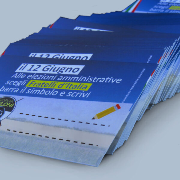 Biglietti elettorali - immagine 2