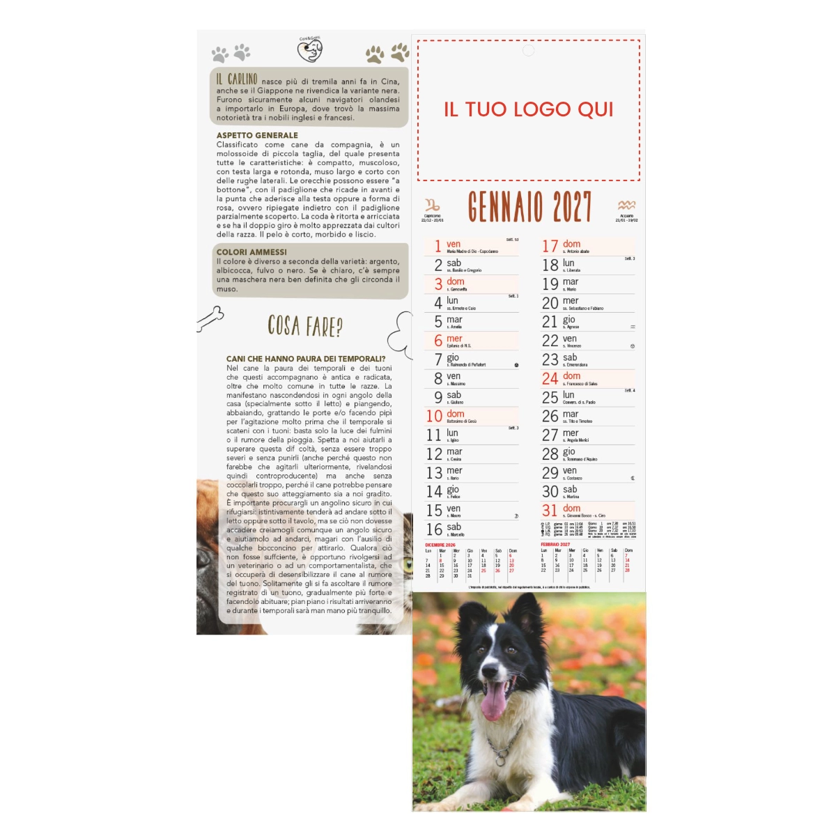 Calendario silhouette Cani e gatti