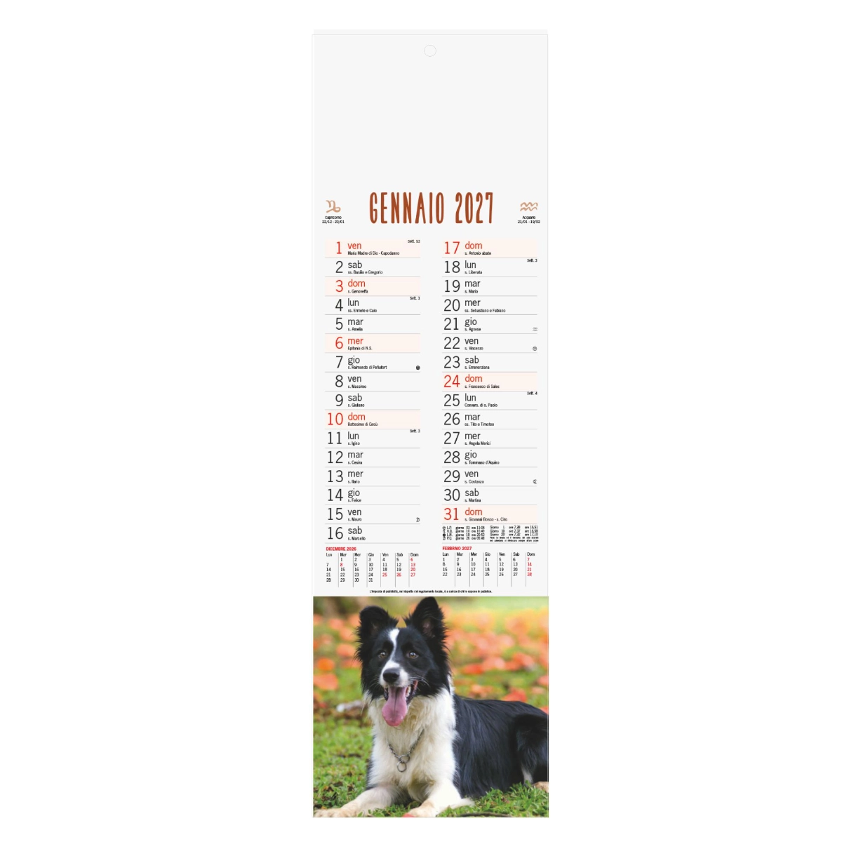 Calendario silhouette Cani e gatti Calendario silhouette Cani e gatti