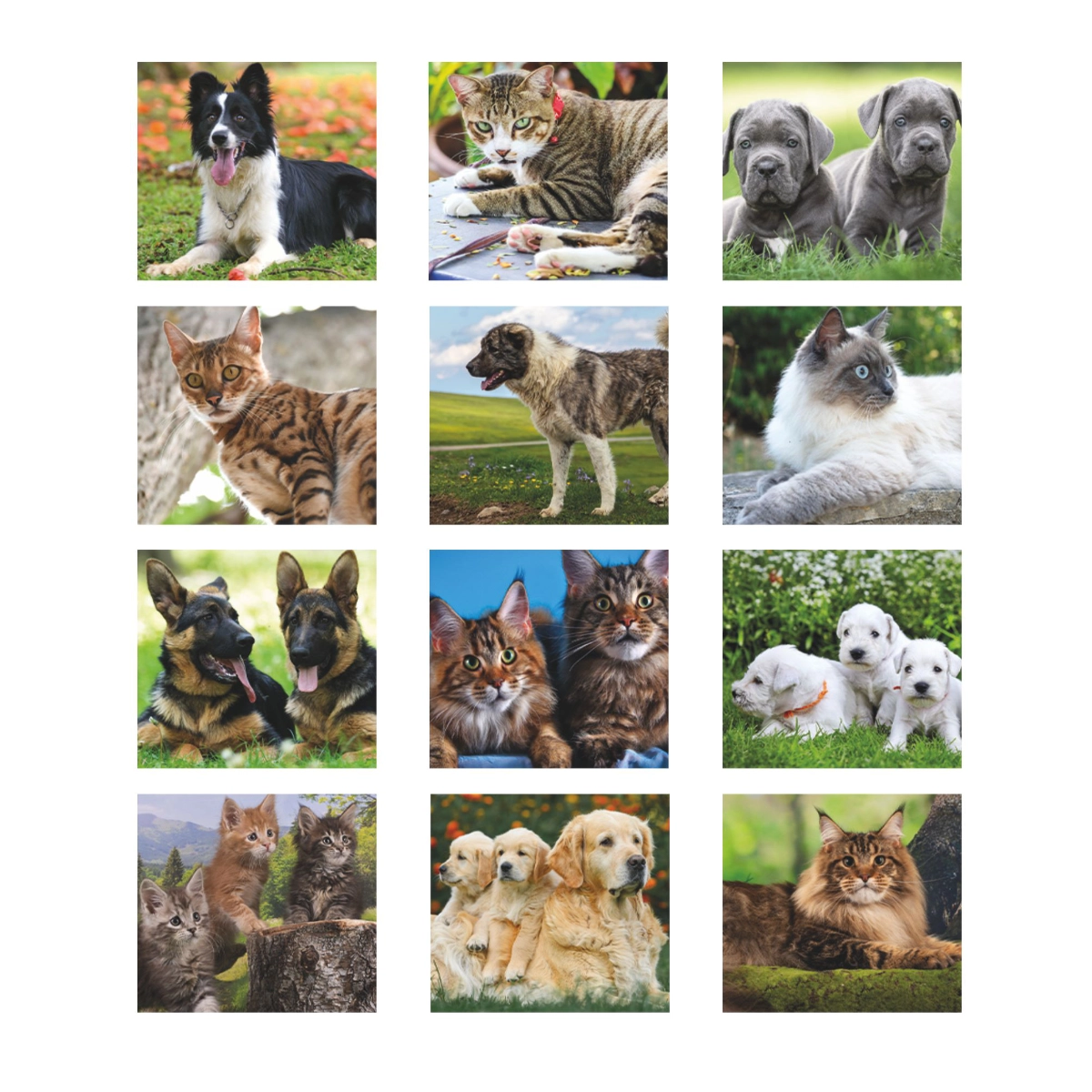 Calendario silhouette Cani e gatti Calendario silhouette Cani e gatti