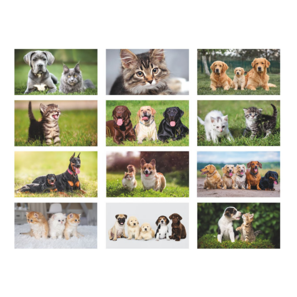 calendario animali personalizzato
