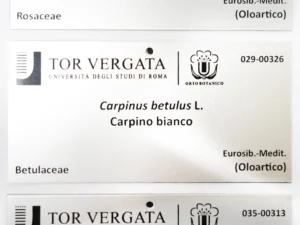 Targhe con dati variabili e numerazione progressiva