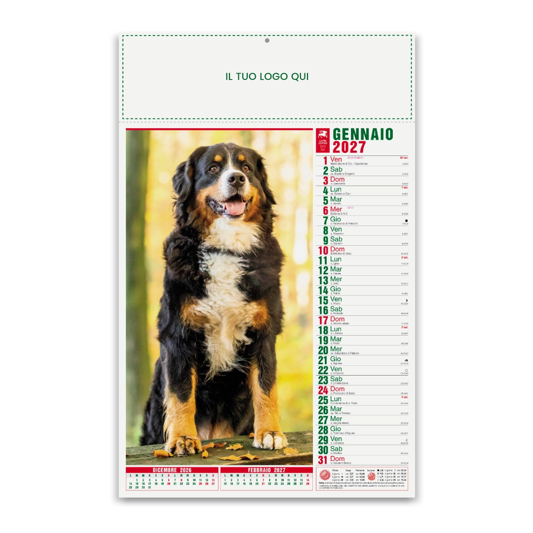 Calendario Cani con illustrazioni di cani e gatti da parete