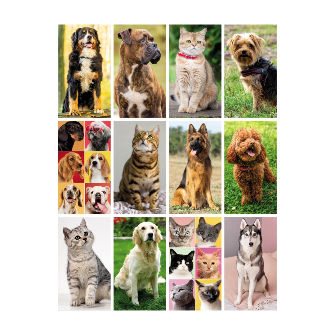 Calendario Cani con illustrazioni di cani e gatti da parete Calendario Cani con illustrazioni di cani e gatti da parete